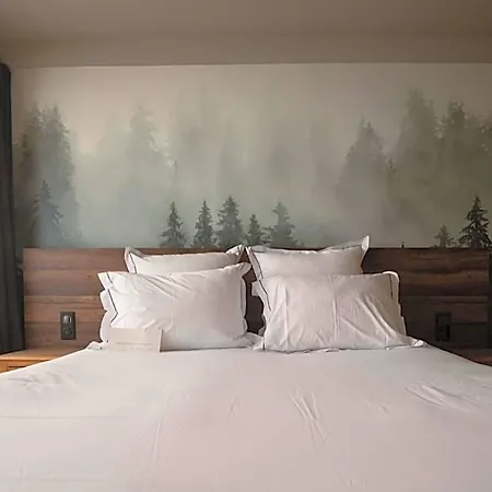 Les Cedres - Hotel - Restaurants - Spa Hotel